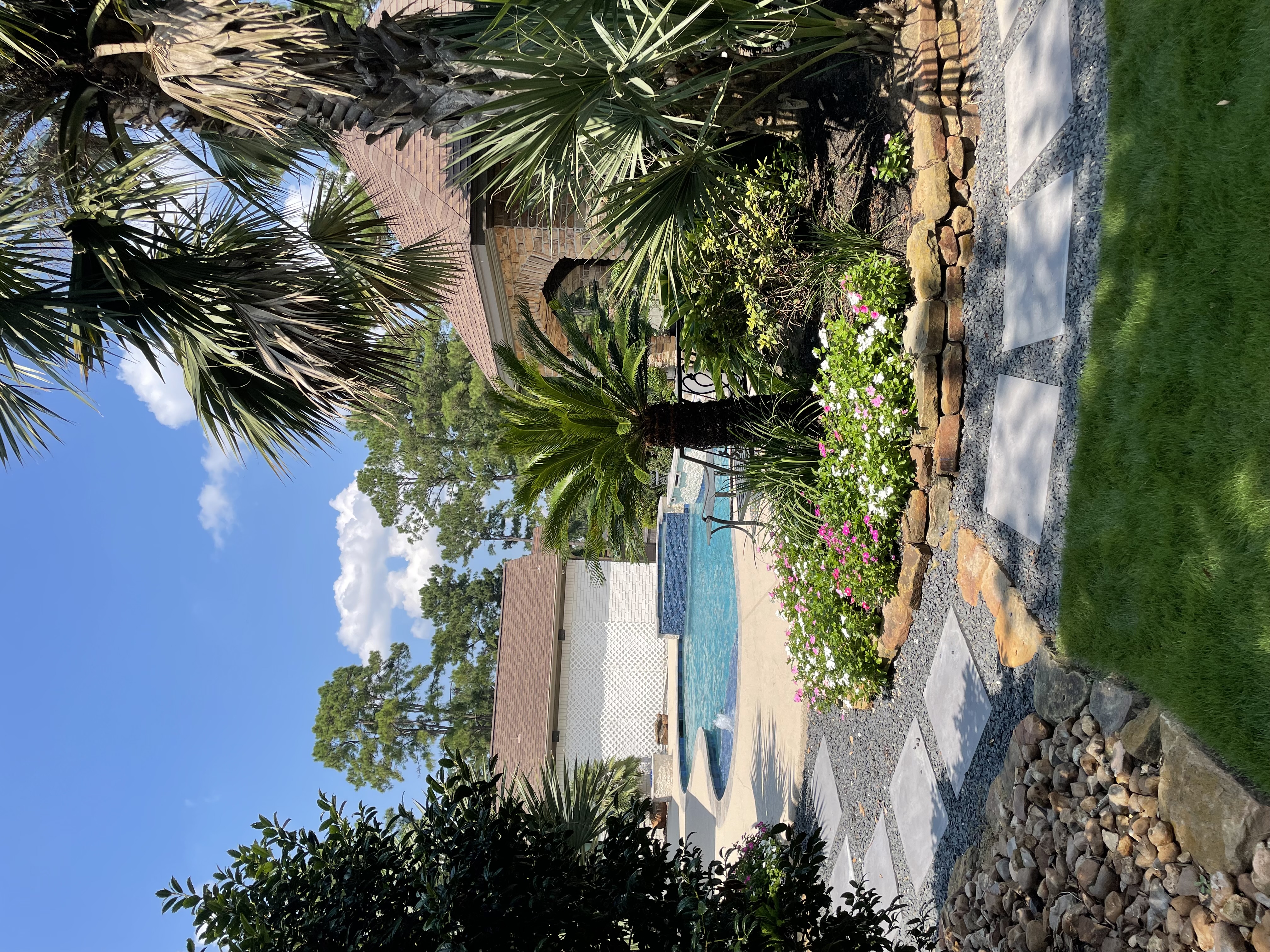 Pool landscape with palms, stepping stones, and seasonal color — New Yards Landscaping